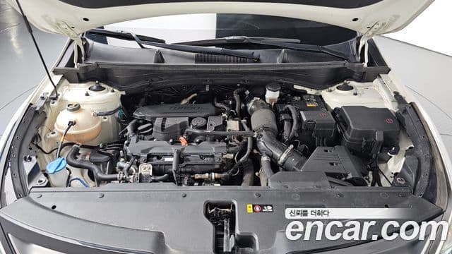 Kia Sportage 5세대 Noblesse, 2022 6