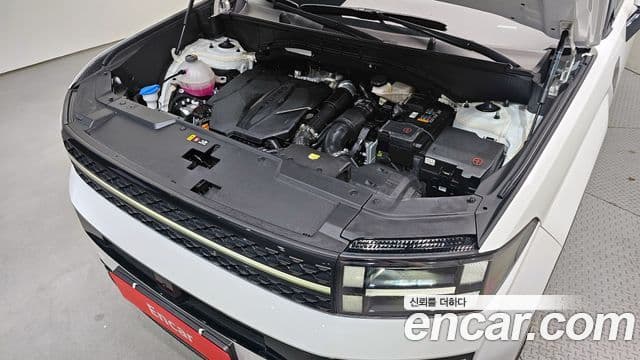 Hyundai Santa Fe (MX5) Calligraphy, 2024 6