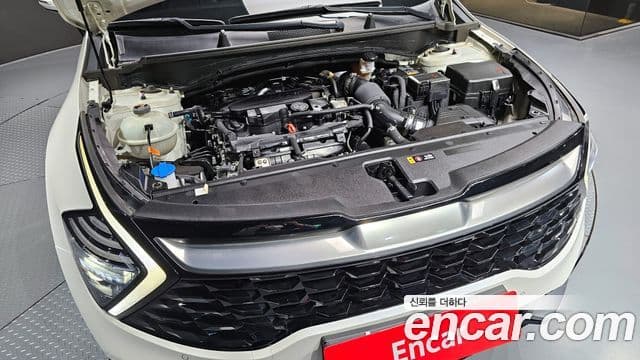 Kia Sportage 5세대 Noblesse, 2023 6