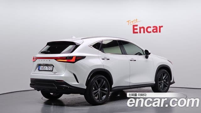 Lexus NX350h 2세대 Premium, 2025 2