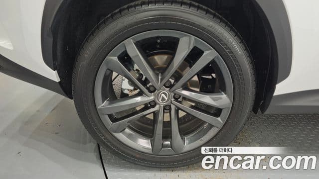 Lexus NX350h 2세대 Premium, 2025 все фото