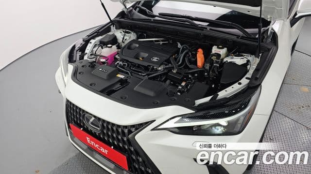 Lexus NX350h 2세대 Premium, 2025 6