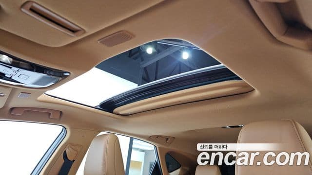 Lexus NX350h 2세대 Premium, 2025 19