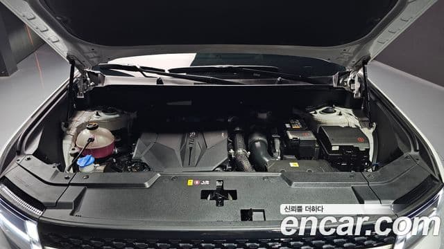 Hyundai Santa Fe (MX5) Calligraphy, 2024 6