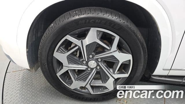 Hyundai Palisade Calligraphy, 2021 все фото