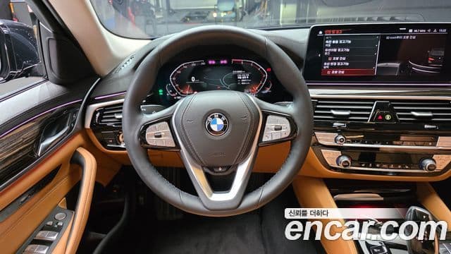 BMW 5시리즈 (G30) Luxury, 2023 13