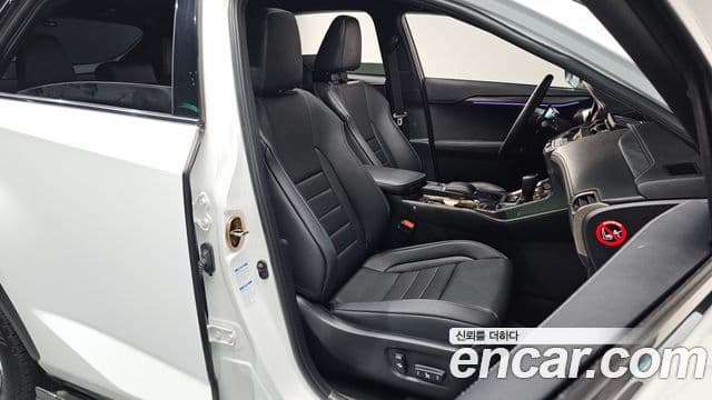 Lexus NX300 F-Sport, 2020 10