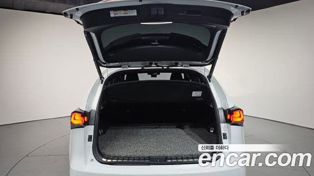 Lexus NX300 F-Sport, 2020 20