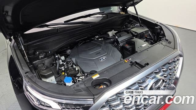 Hyundai Palisade Prestige, 2021 6