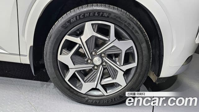 Hyundai Palisade Calligraphy, 2021 все фото