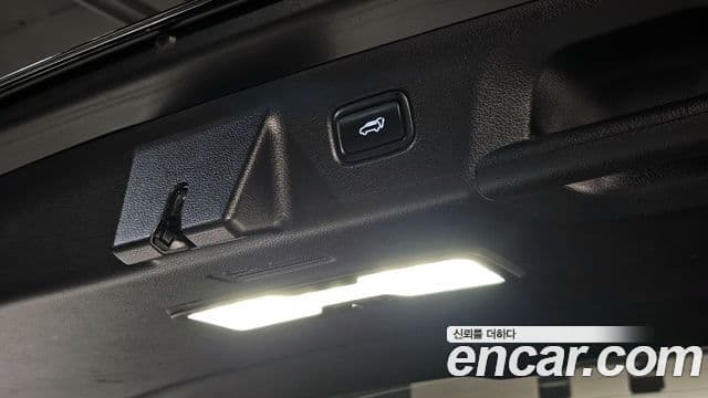 Hyundai Palisade Prestige, 2019 19