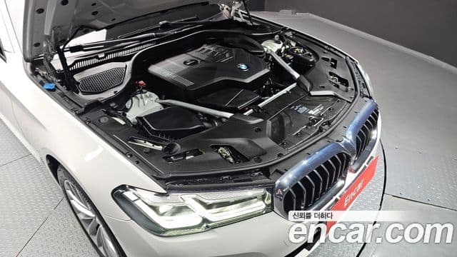 BMW 5시리즈 (G30) Luxury, 2021 6