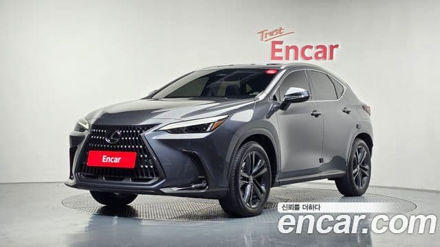 Lexus NX350h 2세대 Premium, 2025 1