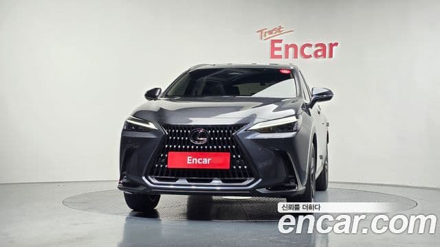 Lexus NX350h 2세대 Premium, 2025 3