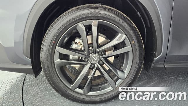 Lexus NX350h 2세대 Premium, 2025 все фото