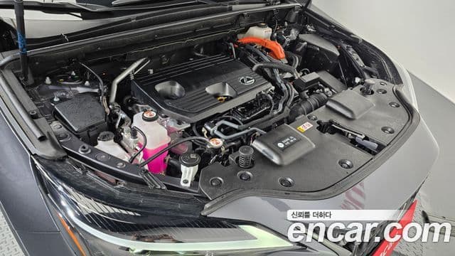 Lexus NX350h 2세대 Premium, 2025 6