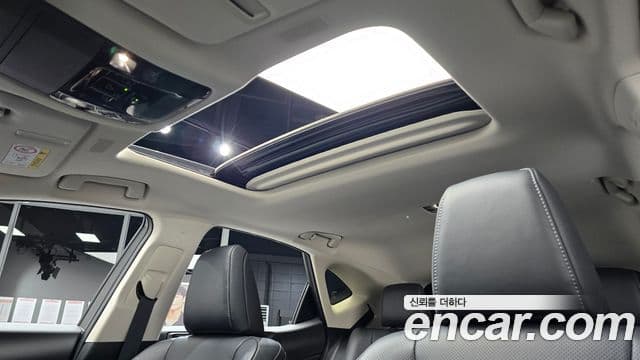 Lexus NX350h 2세대 Premium, 2025 19