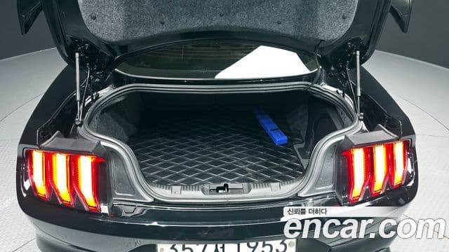 Ford Mustang купе, 2019 20