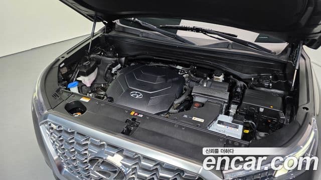 Hyundai Palisade Prestige, 2021 6