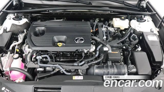 Lexus ES300h 7세대 Luxury Plus, 2026 6