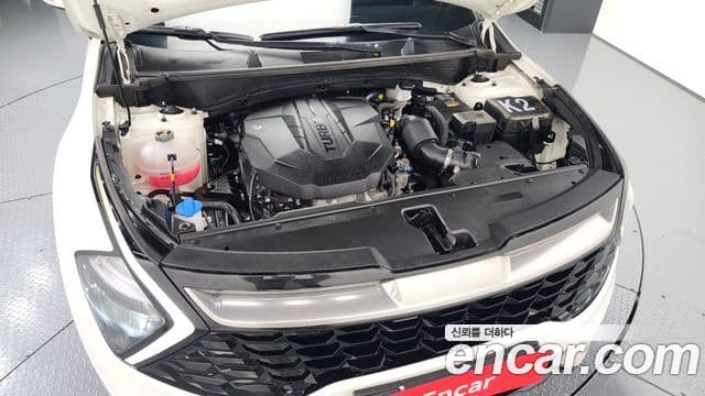 Kia Sportage 5세대 Noblesse, 2022 6