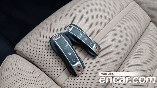 Porsche Cayenne (PO536) 3.0 купе Platinum Edition, 2023 17