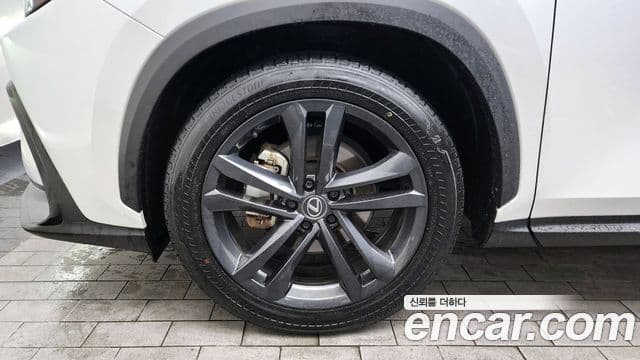 Lexus NX350h 2세대 Premium, 2025 все фото