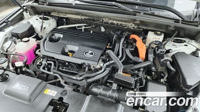 Lexus NX350h 2세대 Premium, 2025 6