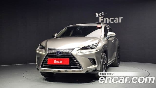 Lexus NX300h Executive, 2021 3