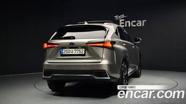 Lexus NX300h Executive, 2021 4