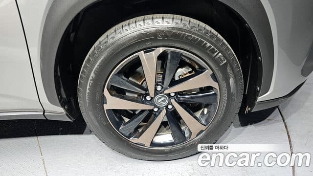 Lexus NX300h Executive, 2021 все фото