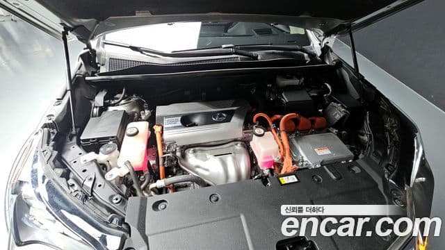 Lexus NX300h Executive, 2021 6