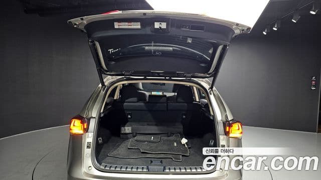 Lexus NX300h Executive, 2021 20