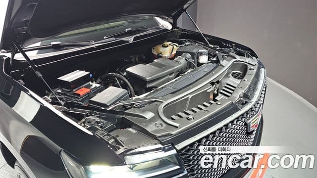 Cadillac Escalade 5세대 Sport Platinum, 2021 6