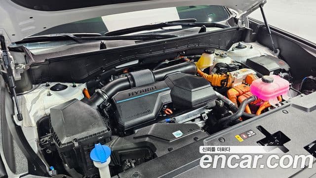 Hyundai Santa Fe (MX5) Calligraphy, 2024 6