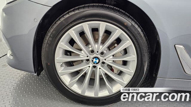 BMW 5시리즈 (G30) 530i Luxury Plus, 2020 все фото