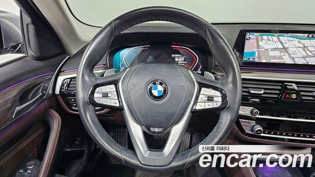 BMW 5시리즈 (G30) 530i Luxury Plus, 2020 13