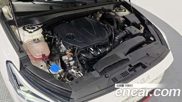 Kia K8 Signature, 2022 6