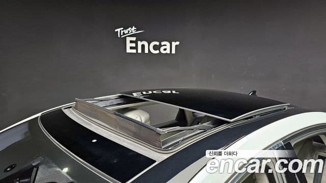 Renault Korea(Samsung) SM6 2.0 LPe RE (для людей с инвалидностью), 2016 19