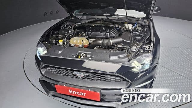 Ford Mustang купе, 2018 6