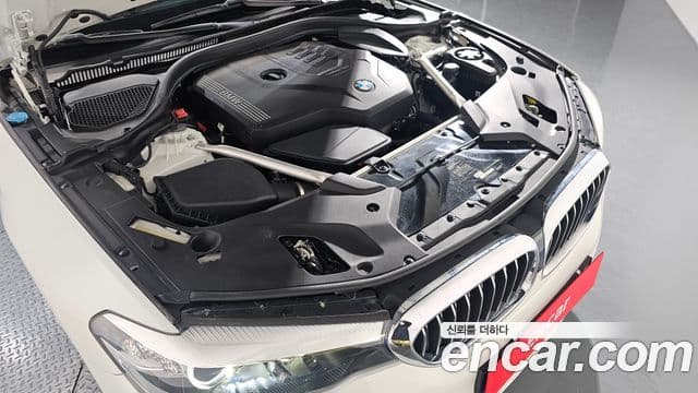 BMW 5시리즈 (G30) Luxury, 2020 6