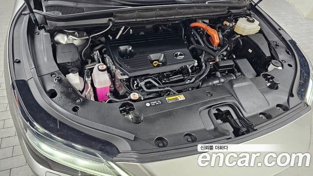 Lexus RX350h 5세대 Luxury, 2023 6