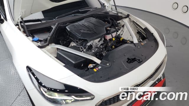 Kia 스팅어 마이스터 2.5 Masters Acro Edition, 2022 6