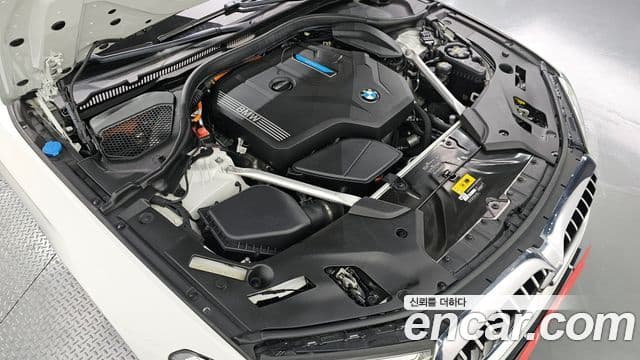 BMW 5시리즈 (G30) Luxury, 2021 6