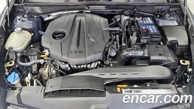 Hyundai Sonata (DN8) Premium Millennial, 2020 6