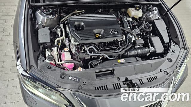 Lexus ES300h 7세대 Executive, 2025 8