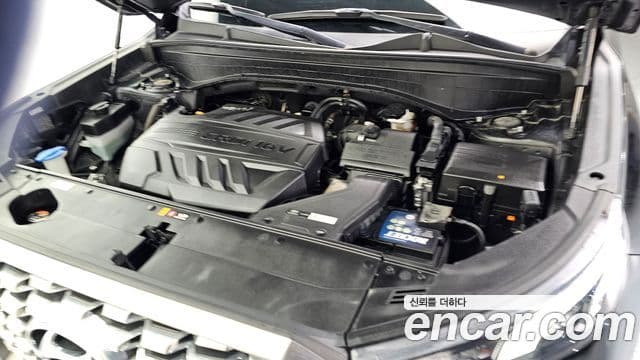 Hyundai Palisade Prestige, 2019 6