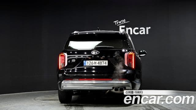 Hyundai The / новый New Palisade Calligraphy, 2024 4