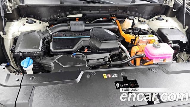 Hyundai Santa Fe (MX5) Calligraphy, 2024 6