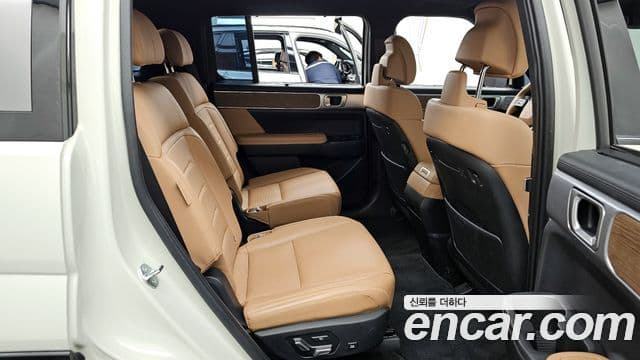 Hyundai Santa Fe (MX5) Calligraphy, 2024 12